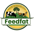 Feed Fat